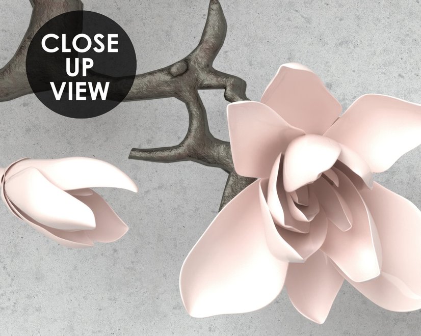 3D Optik Rosa Magnolienblüten Fototapete