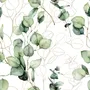 Papier peint aquarelle vert feuille d'eucalyptus