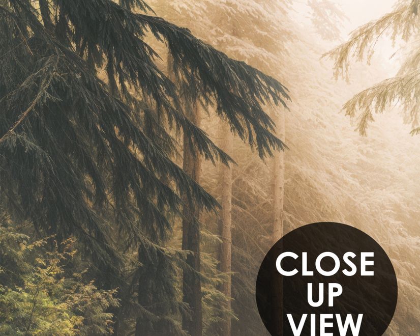 Highway on the Forest Landscape Wallpaper Mural