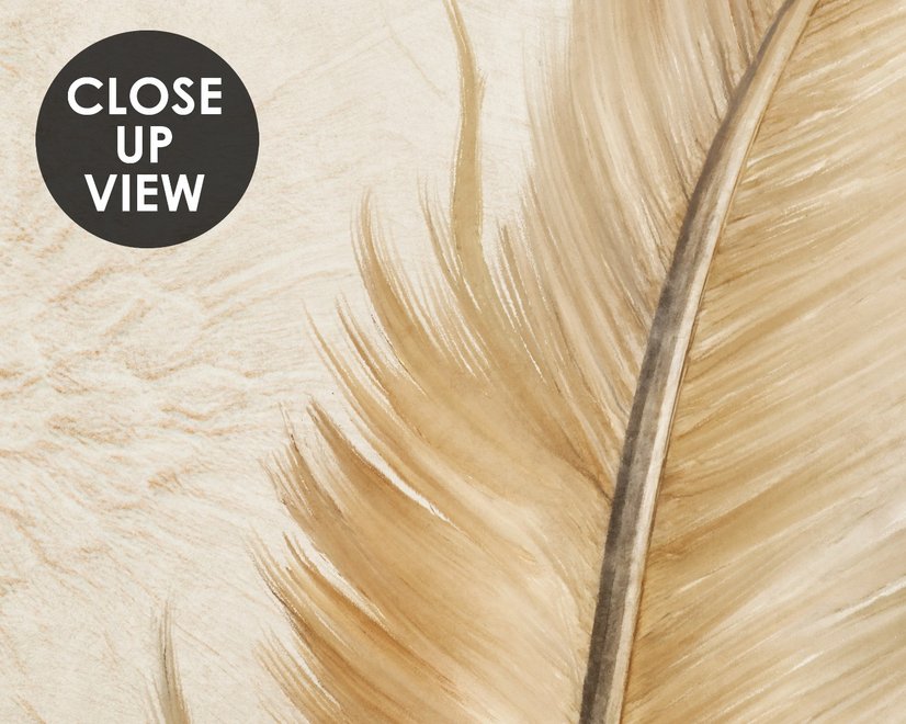Brown Feather Wallpaper Mural