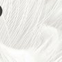 Monochrome Feather Pattern Wallpaper Mural