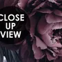 Dark Floral Claret Peony Floral Wallpaper Mural