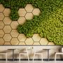 Hexagon Honeycomb Pattern and Fresh Grass Wallpaper Mural