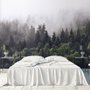 Misty Pine Forest Wallpaper Mural