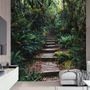 Jungle Pathway Wallpaper Mural