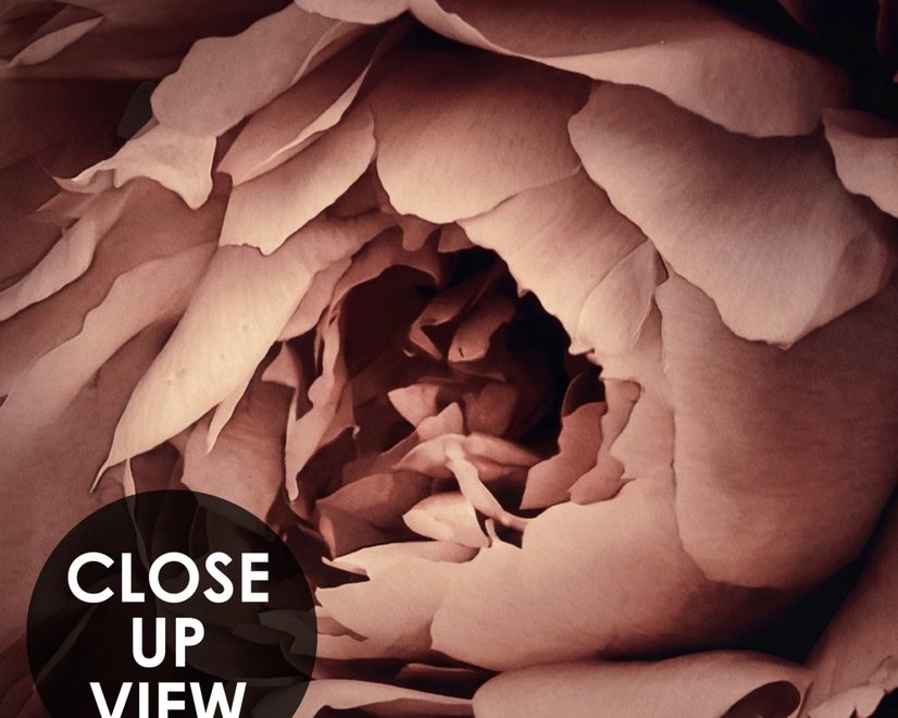 Dark Floral Bouquet with Red Peony and Lily Wallpaper Mural
