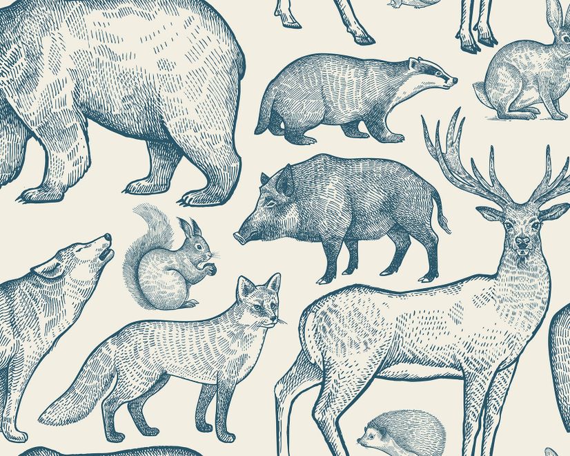 Nordic Animal Drawing for Kids Wallpaper Mural