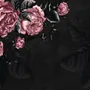 Dark Floral Peony Flower Drawing Wallpaper Mural