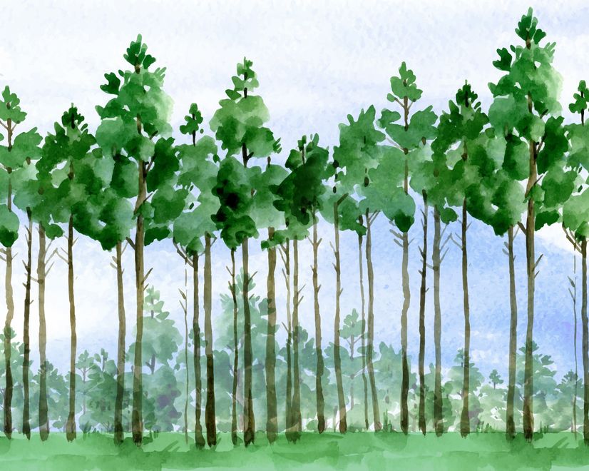 Cartoon Poplar Tree Wallpaper Mural