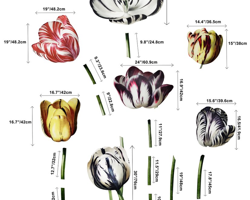 Stickers muraux tulipes hollandaises colorées 3d