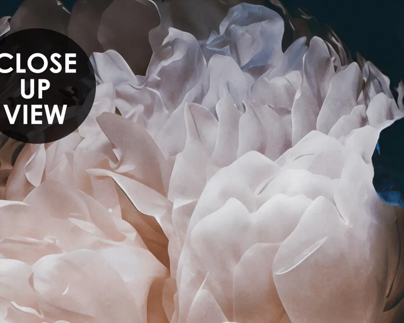 Dark Floral Peony Bouquet Wallpaper Mural
