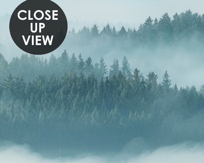 Misty Forest Landscape Wallpaper Mural