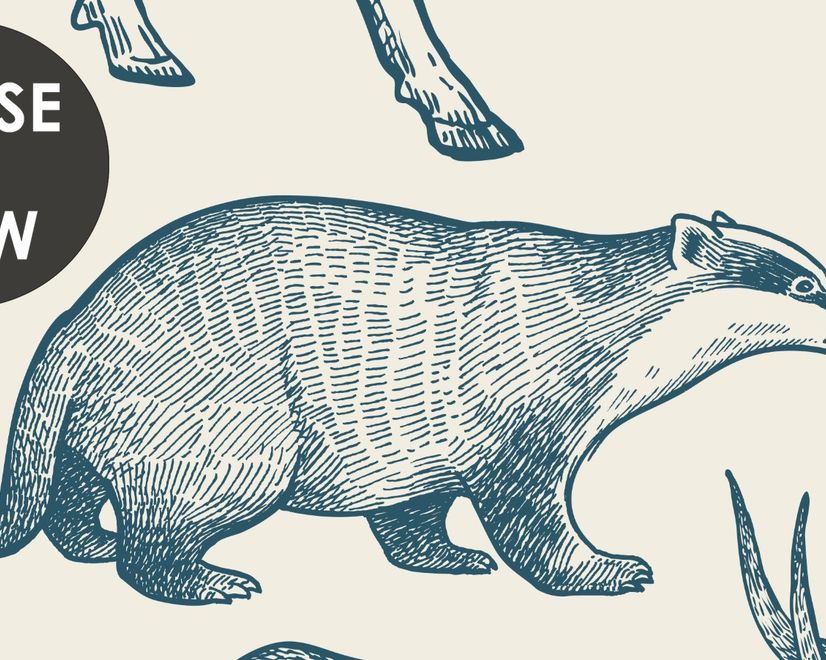 Nordic Animal Drawing for Kids Wallpaper Mural