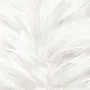 Monochrome Feather Pattern Wallpaper Mural