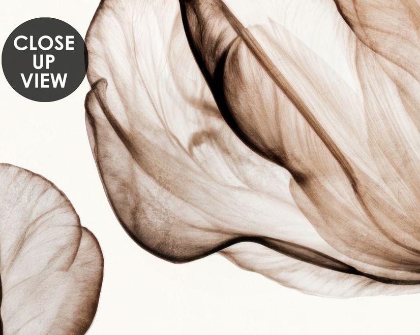 Transparent Floral Art Wallpaper Mural