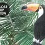 Cute Safari Animals with Jungle Kids Wallpaper Mural