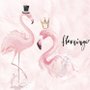 Powder Pink Flamingo Wallpaper Mural