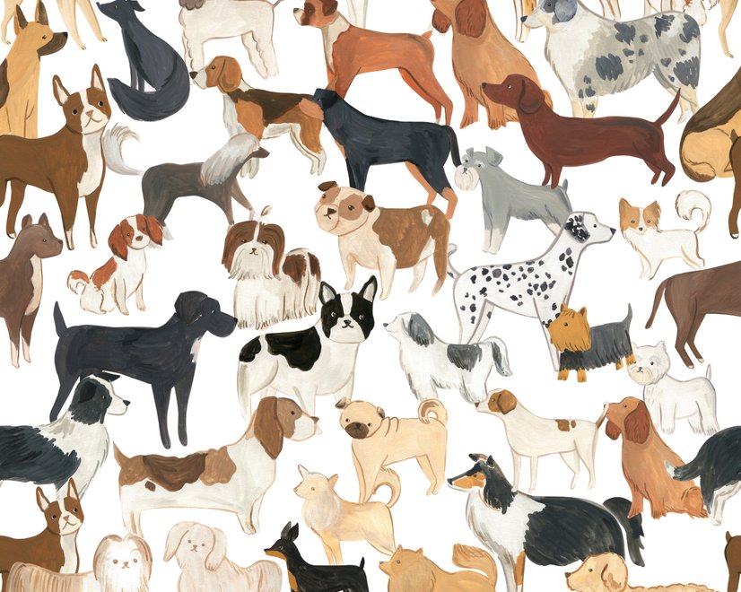 Zoomie kids wallpaper with painted dog breeds in tan, brown, black and grey on white