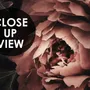 Dark Floral Bouquet with Red Peony and Lily Wallpaper Mural