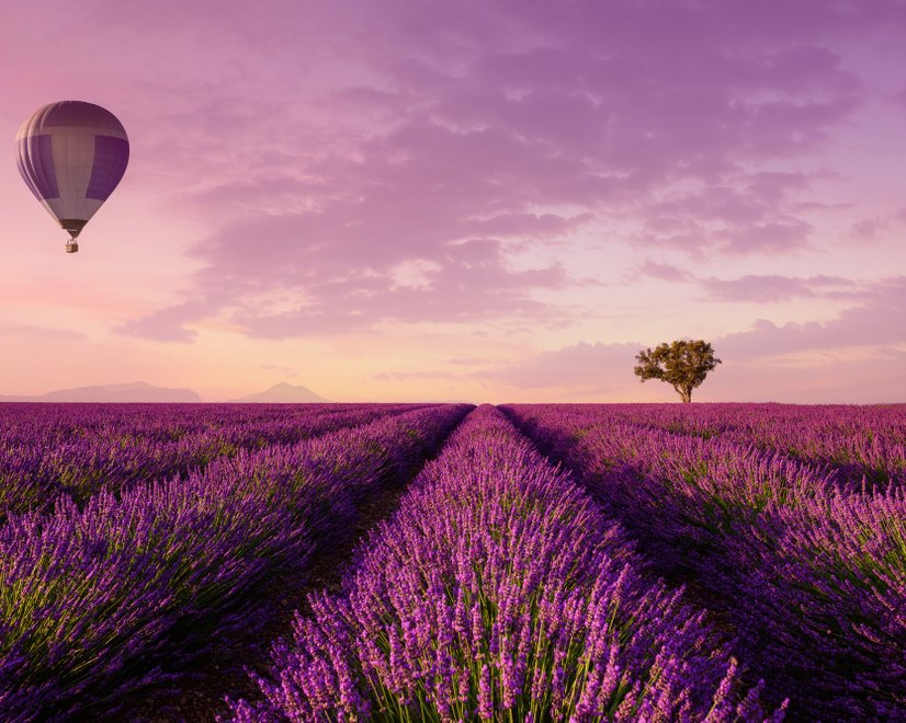 Serene Sunset Lavender and Balloon Landscape Wallpaper Mural