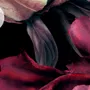Dark Watercolor Colorful Peony Floral Wallpaper Mural