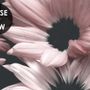 Dark Floral Garden Wallpaper Mural