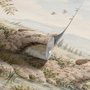 Watercolour woodland wall mural with fawn, rabbits, stone bridge, stream and distant cypress countryside