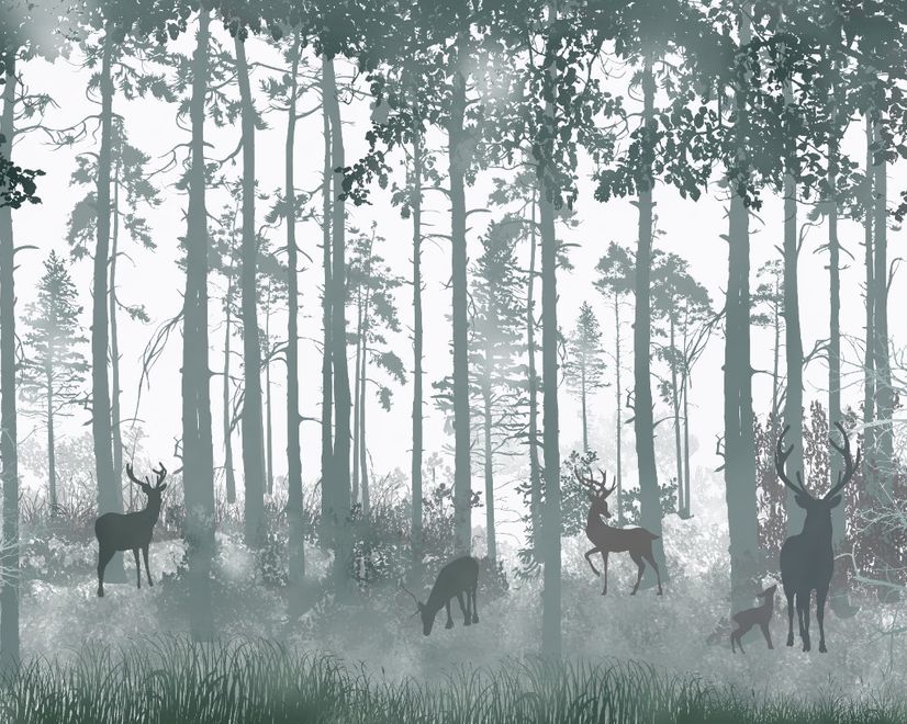 Papier peint forêt sombre et brumeuse avec cerfs à cornes