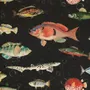 Vintage Ocean Fish Art Wallpaper Mural
