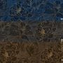Dark Navy Peony Floral Drawing Art Wallpaper Mural