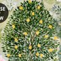 Aquarell-Zitrusbäume und Blumenast Fototapete