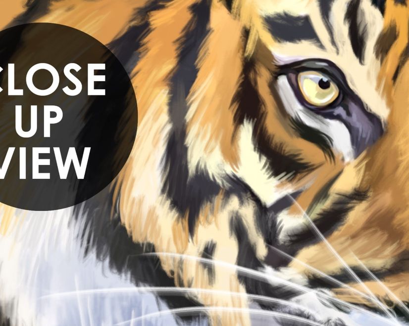 Kids Safari Watercolor Tropical  Forest Jungle Animals Wallpaper Mural