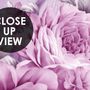 Drawn Pink Peony Floral Wallpaper Mural