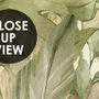 Watercolor Safari Animals in Forest Wallpaper Mural