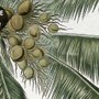 Tropical Nature Landscape with Birds Wallpaper Mural