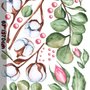 Stickers muraux en coton blanc avec feuilles vertes et boutons de rose roses