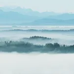 Fog Wallpaper