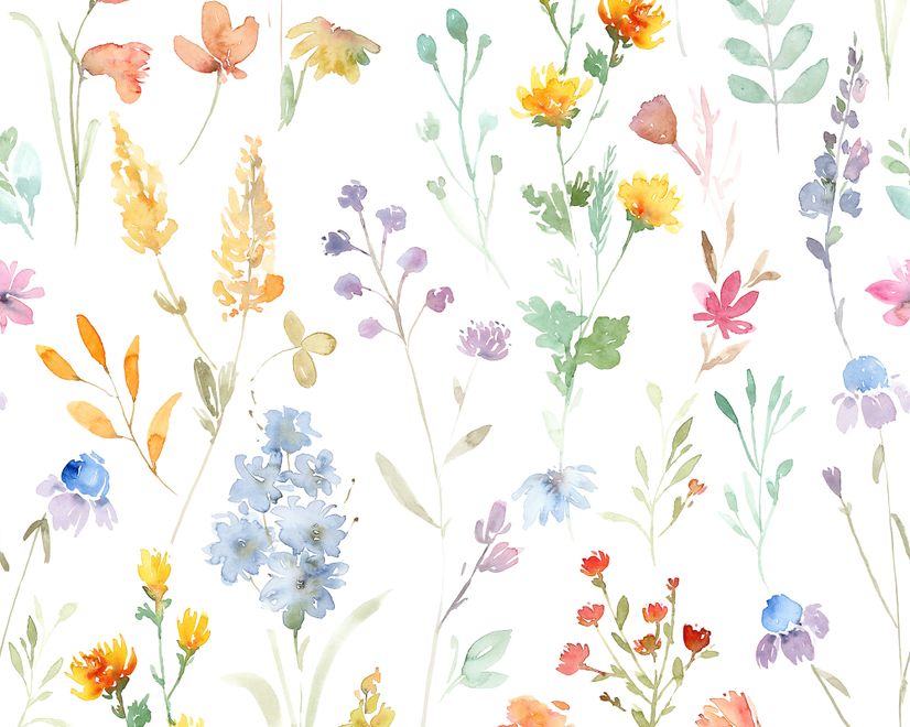 Watercolor Colorful Botanical Wild Flower Wallpaper Mural
