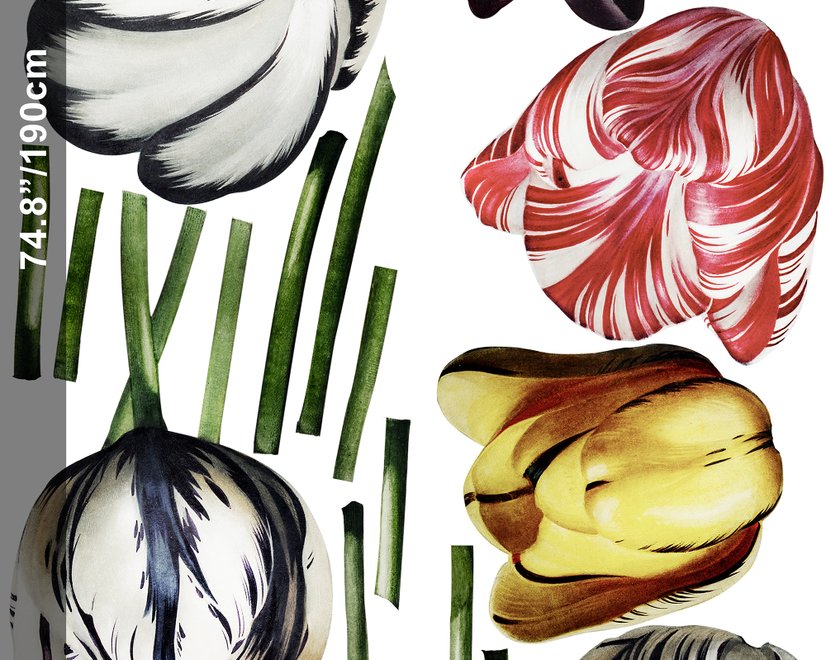 3D Dutch Floral Colorful Tulips Wall Decal Sticker