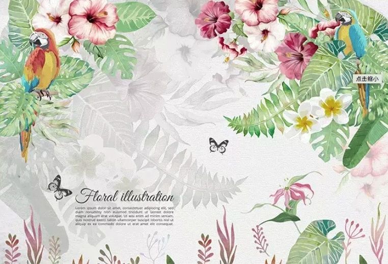 Mirabilis und Tropische Pflanzen Fototapete