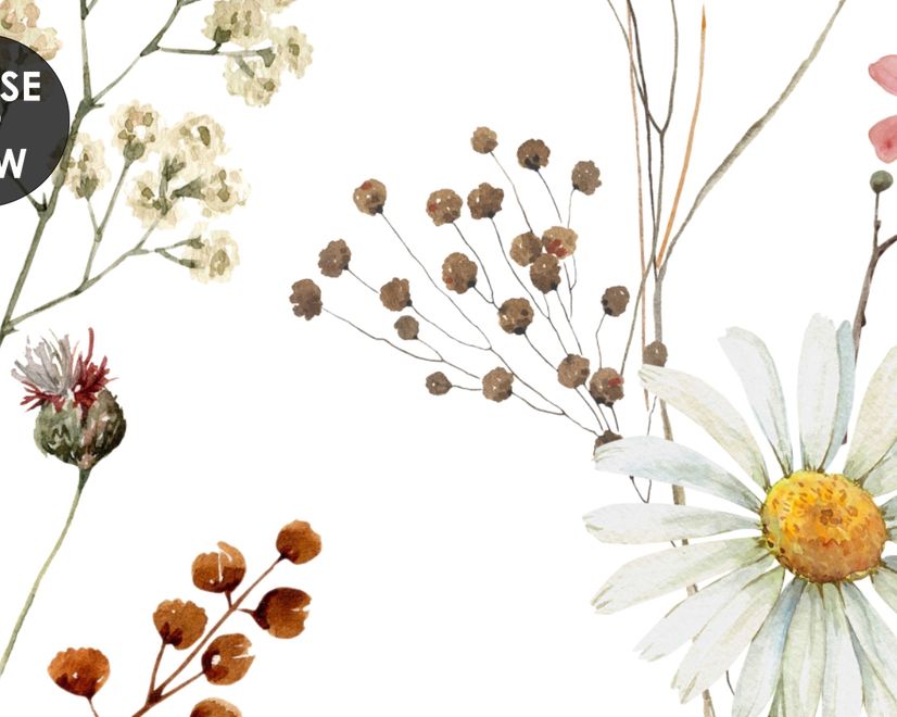 Watercolor Soft Wild Flowers Wallpaper Mural