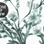 Monochrome Botanical Plants Chinoiserie Wallpaper Mural
