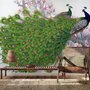 Elegant Peacock with Cherry Blossom Wallpaper Mural