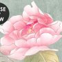 Weiche Chinesische Weiße Blumen mit Vögeln Fototapete