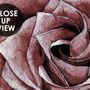 Watercolor Dark Peony Floral Wallpaper Mural