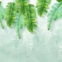 Papier peint panoramique feuilles tropicales et ombres