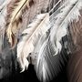 Nordic Light Feathers Wallpaper Mural