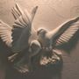 3D Embossed Look Cement Pigeons Wallpaper Mural