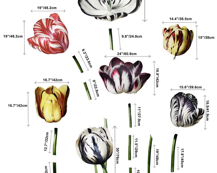 3D Dutch Floral Colorful Tulips Wall Decal Sticker