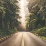 Highway on the Forest Landscape Wallpaper Mural